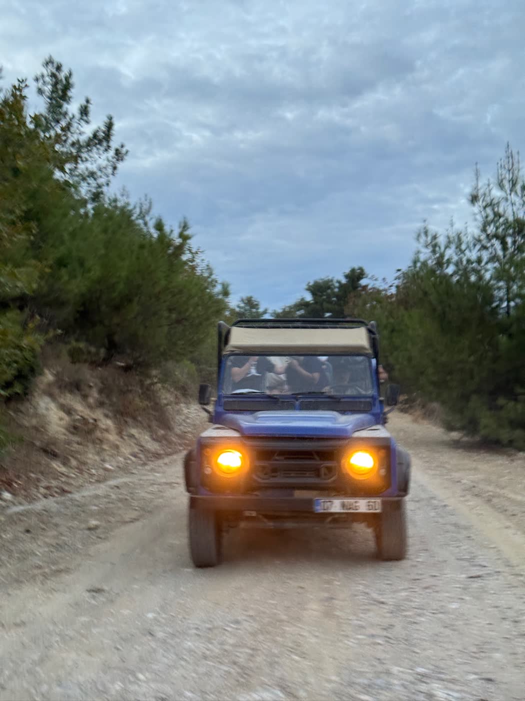 A safari jeep arriving along a forest road